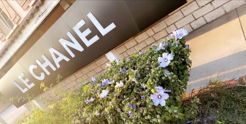Hotel Restaurant Le Chanel Villieu Eksteriør billede